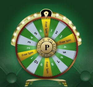 Spin wheel daily to receive freebids